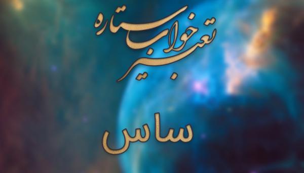 تعبیر خواب ساس - دیدن ساس در خواب چه تعبیری دارد؟