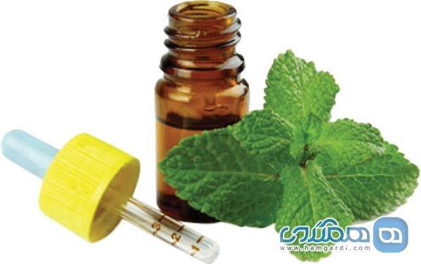بهترین روغن های پوست در هوای گرم