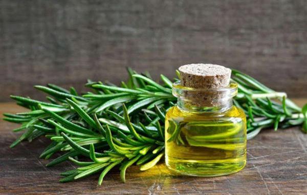 آیا عصاره رزماری واقعا در رشد و تقویت مو مؤثر است؟