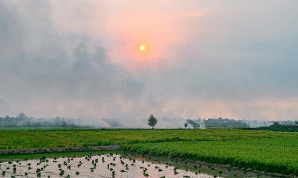 برطرف تنش آبی برای برنجکاران شهرستان رشت
