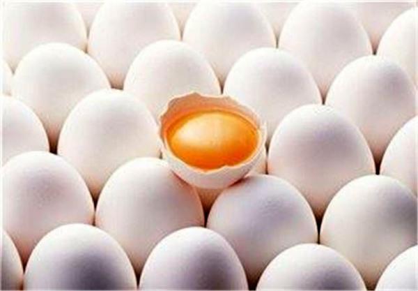 هشدارمهم درباره نحوه نگهداری تخم مرغ در یخچال