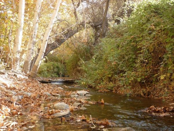 منطقه خوش آب و هوای تفرجگاه خارزنج خلیل آباد