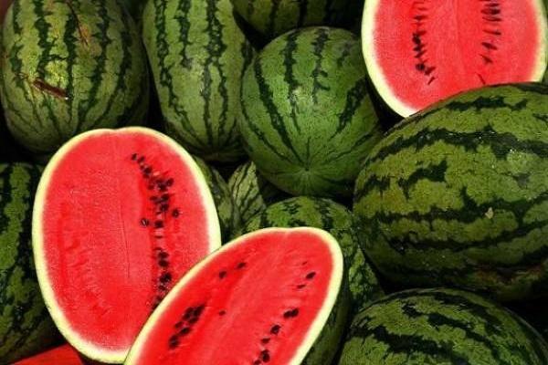 استحکام استخوان ها با دانه های هندوانه