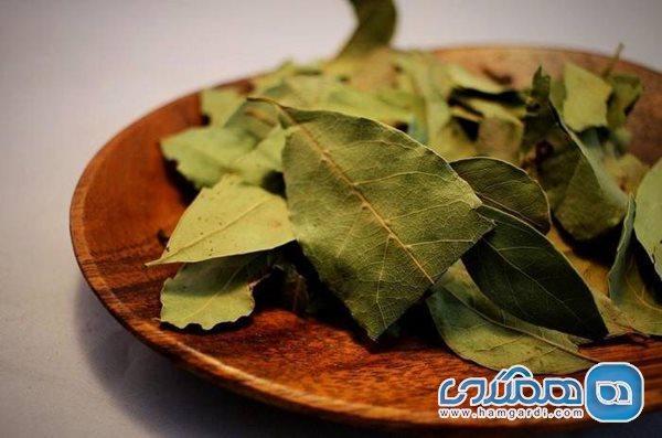 خواص برگ بو برای زیبایی پوست و مو خواص برگ بو برای زیبایی پوست و مو