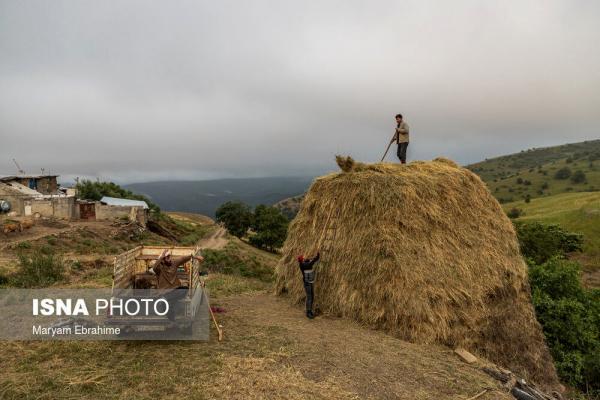 تصاویر، طبیعت ایران گِرمی