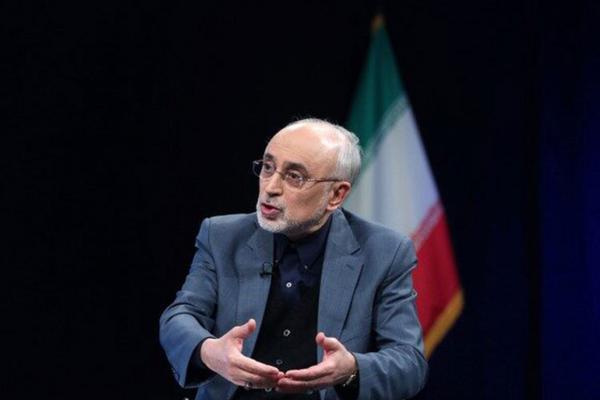 صالحی: مسائل فنی نیروگاه بوشهر حل شده است صالحی: مسائل فنی نیروگاه بوشهر حل شده است