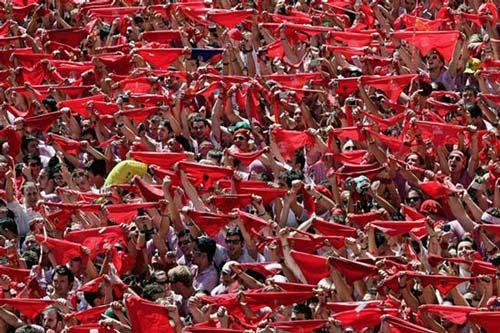 زمانی برای مستی گاوها