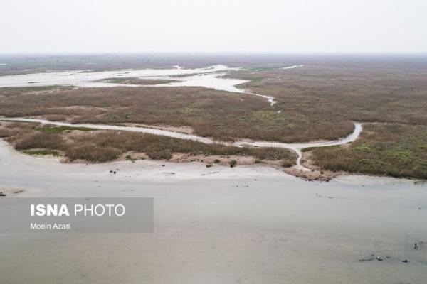 عوامل طبیعی و انسانی موثر در خشک شدن تالاب انزلی