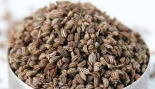 طبع زنیان، مصلحات و خواص آن در طب سنتی