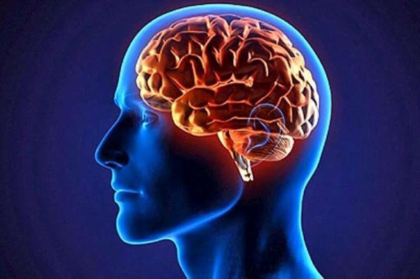 سه ماده غذایی خطرناک برای مغز انسان
