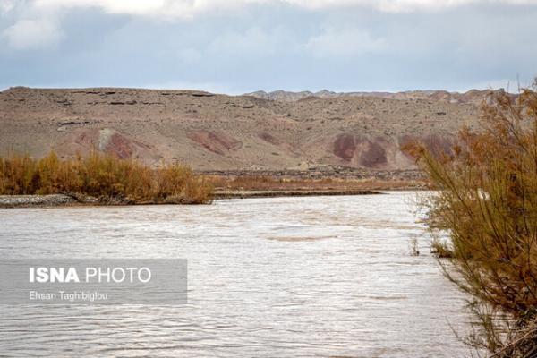 جاری شدن امید در سرزمین برنج و زیتون