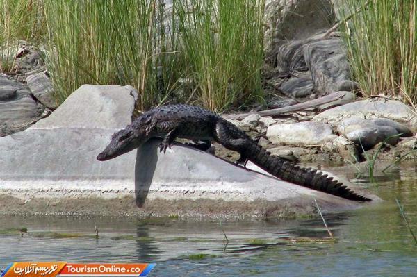 روستاهای دارای گاندو در سیستان و بلوچستان میزبان گردشگران می شوند