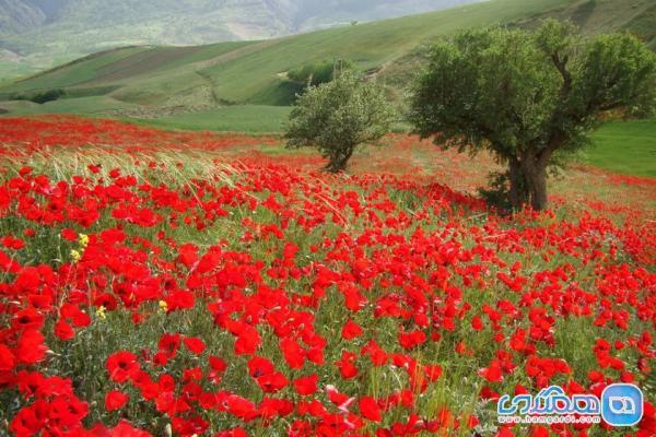 روستای پالنگان در کردستان؛ تلفیقی از هنر معماری و شکوه طبیعت