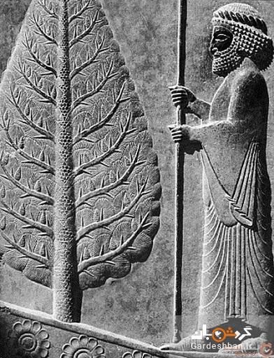 4 جاذبه ای که مردم برایشان داستان های عجیب گفته اند