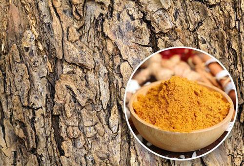 چیز های عجیبی که نمی دانستید قابل خوردن هستند