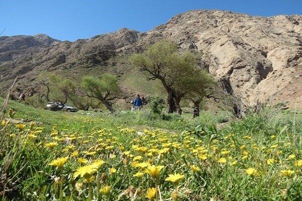 زیبایی های طبیعت در دق پترگان