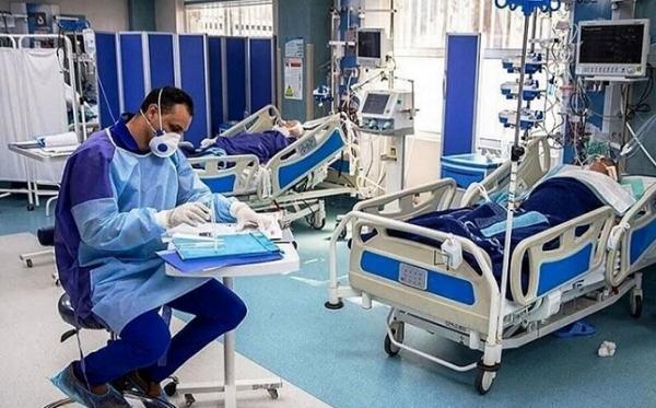 شهرهای زرد مشخص شدند شهرهای زرد مشخص شدند