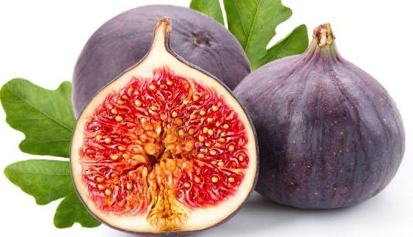 طبع انجیر ، خواص باورنکردنی و مصلحات آن از نظر طب سنتی