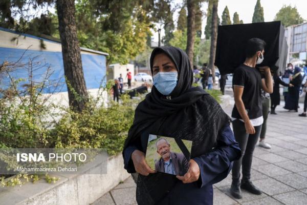 تصاویر، زندگی هنوز در جریان است...