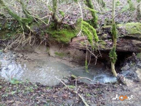 چشمه گردو نوشهر ، عکس