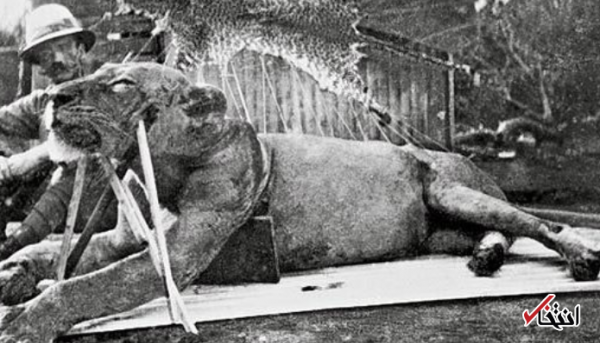 ماجرای خونین ترین راه آهن جهان