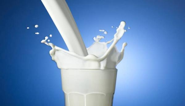 طبع شیر سرد است یا گرم؟ خواص و مصلحات آن چیست؟