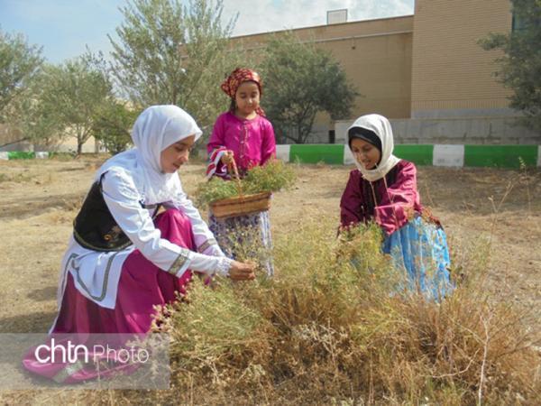 لباس محلی طارم، ترکیبی از رنگ و اصالت