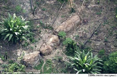 تصاویر کشف یک قبیله گمشده در آمازون