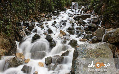 آب پری؛ منطقه ای خوش آب و هوا در مازندران، تصاویر