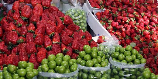 قیمت نوبرانه های بازار میوه چند؟
