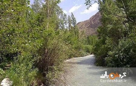 جنگی انبوه در اطراف مشهد با صداهایی عجیب، تصاویر