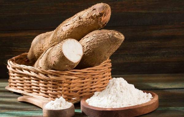 کاساوا چیست؟ (25 خاصیت شگفت آور آن برای پوست، مو و سلامتی)