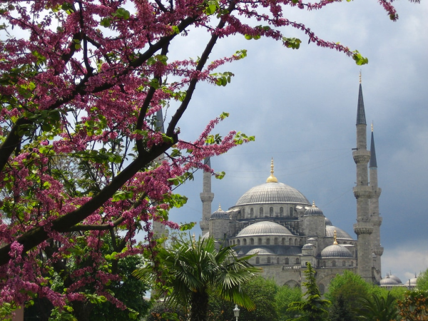 11 کاری که مردم ترکیه را عصبانی می نماید