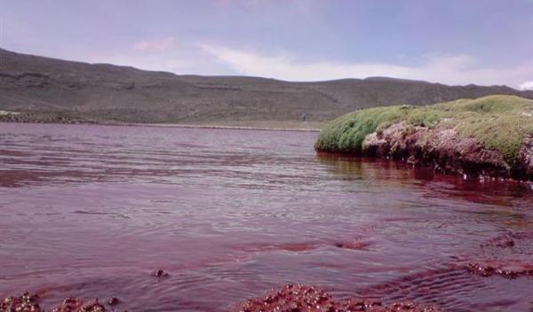 7 جاذبه مسحور کننده کشور شیلی