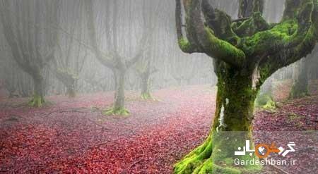 پارک رویایی معروف در اسپانیا، تصاویر