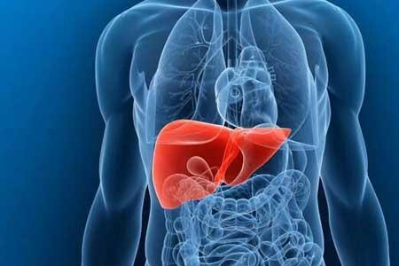 پاکسازی کبد را از قلم نیاندازید