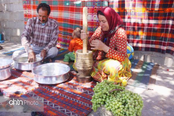 مهارت آب غوره گیری در دشمن زیاری