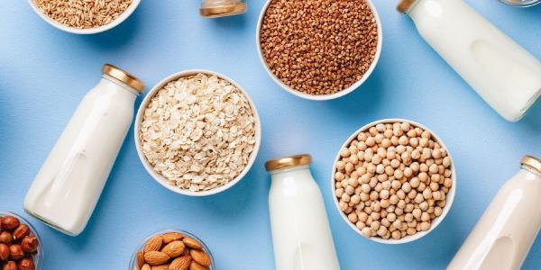 آیا انواع شیر گیاهی را می شناسید؟