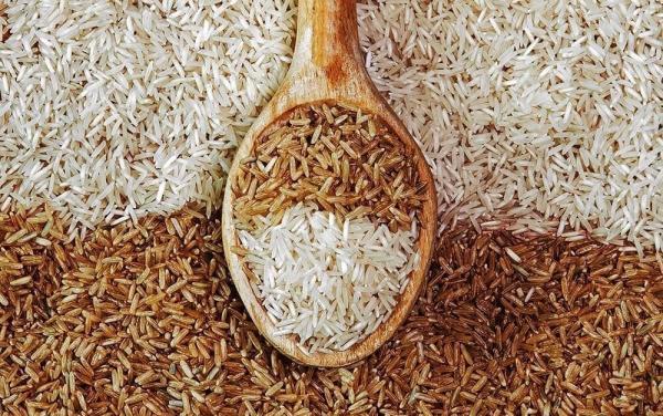 برنج قهوه ای یا برنج سفید؟ کدام برای سلامت مفید است