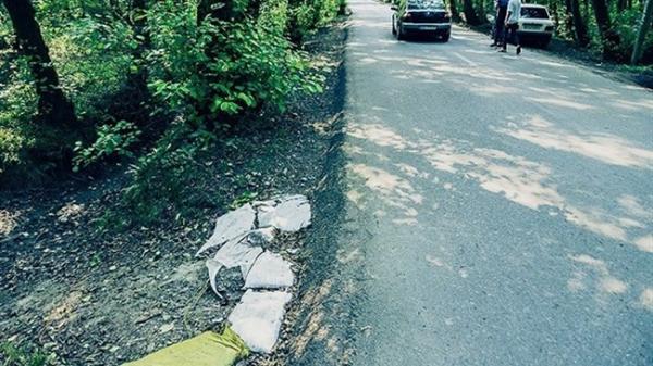 اولین جشنواره وجدان محیط زیست در کسب وکار از نگاه مردم برگزار می شود