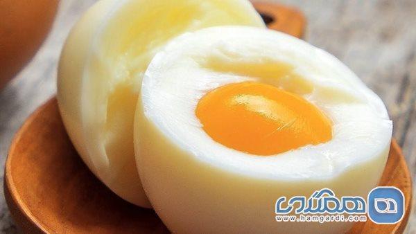 در طول روز چند عدد تخم مرغ می توان خورد؟