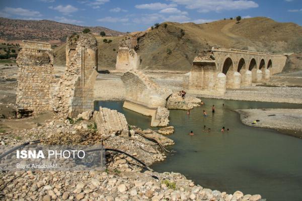 کشکان جان دوباره ای گرفت