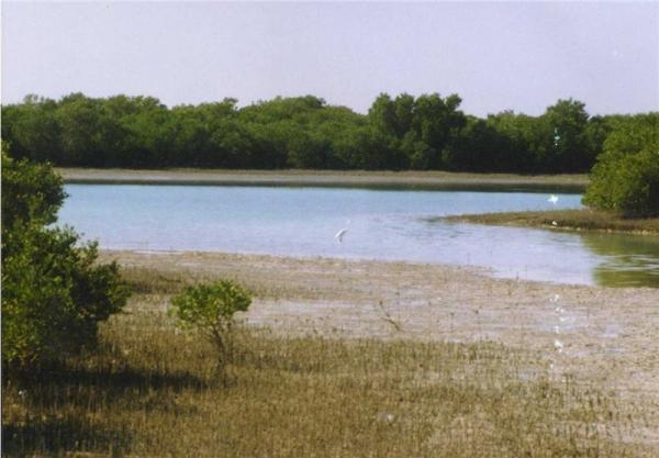 مکان های دیدنی عسلویه مکان های دیدنی عسلویه