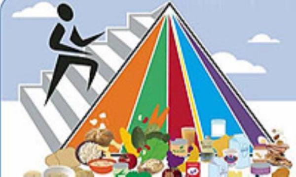 تغذیه در پرورش اندام (1)