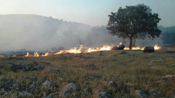 اعزام نیرو با بالگرد برای مهار کامل آتش در کوه نیر
