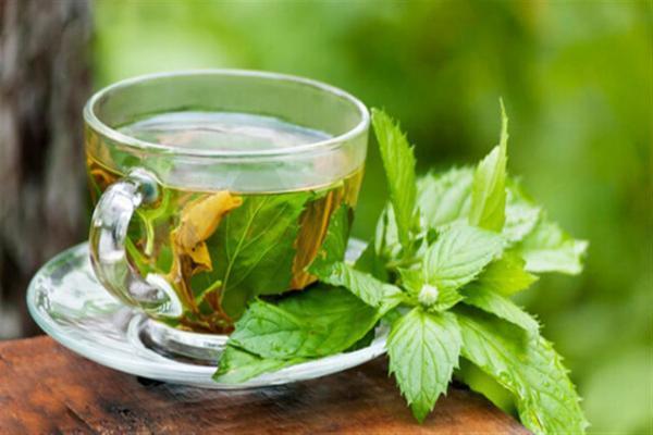 بادرنجبویه ، گیاهی برای تقویت قلب و انبساط روح بادرنجبویه ، گیاهی برای تقویت قلب و انبساط روح