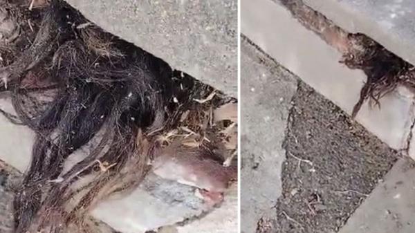 صحنه عجیبی که مرد محلی را در قبرستان میخکوب کرد