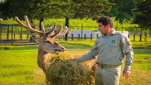 خطرات گردشگری برای حیات وحش ایران