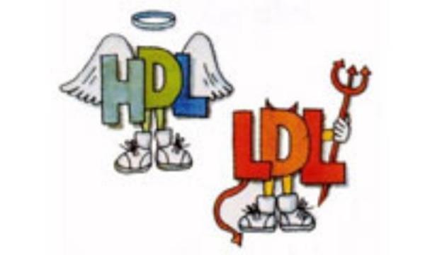 افزایش چربی های خون