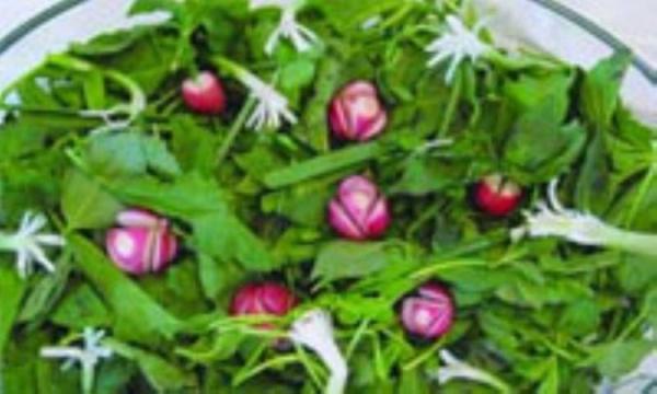 مشکل نفخ و مصرف سبزیجات مشکل نفخ و مصرف سبزیجات